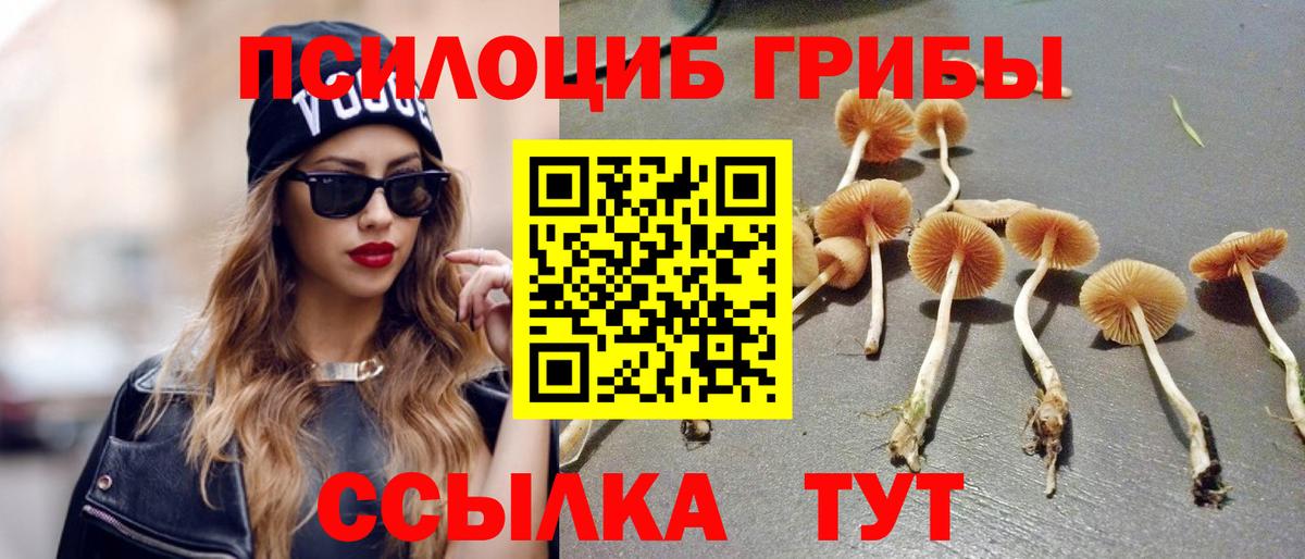 Псилоцибиновые грибы ЛСД  Вход с VPN  Псилоцибиновые грибы Psilocybine cubensis  Алексеевка 