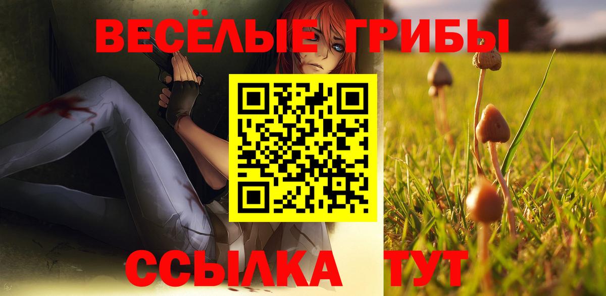 Псилоцибиновые грибы Psilocybine cubensis Алексеевка